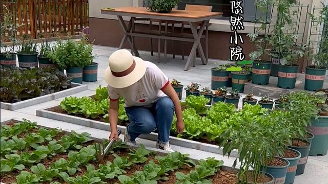 人的磁场很重要，多跟善良的人同行#田园生活