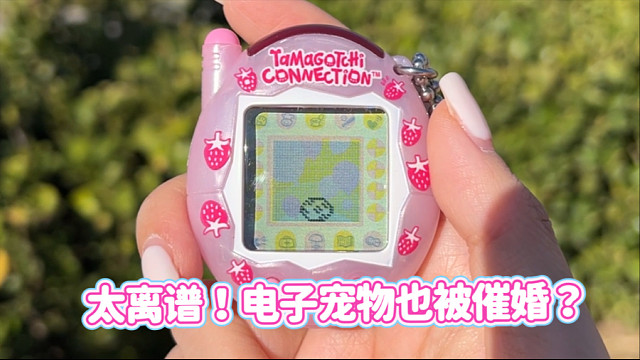 就离谱！现在连电子宠物也要被催婚了？！我的拓麻歌子还有救吗！