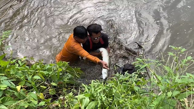 惊险刺激的一天，爬上几十米高空树屋看风景，沼泽泥潭钓肥鳗！