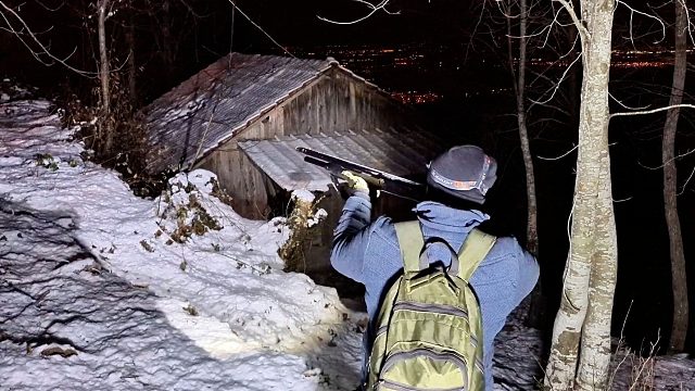 深夜扛着猎枪在树林里游走，满是野狼哀嚎，幸好进入了一座温馨小木屋