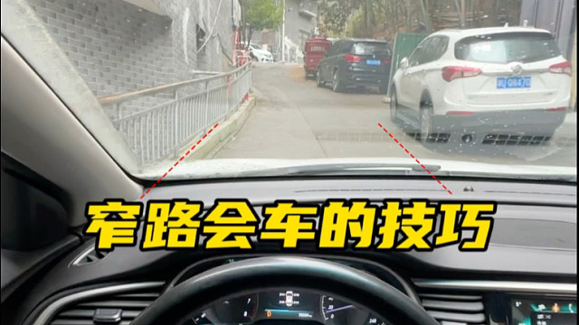 教练带徒弟吃饭的本事能教你？" 轮胎内外侧竟在手上！拇指对A柱/食指切雨刮 窄路横着走！ #驾驶技巧
