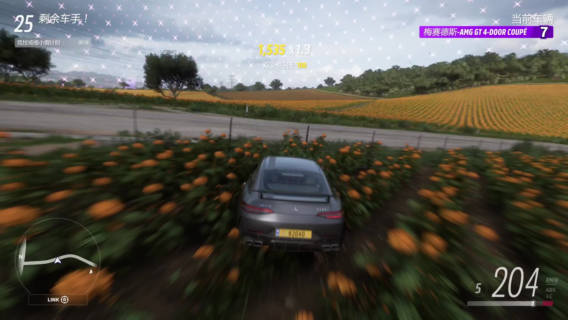 地平线5淘汰之王