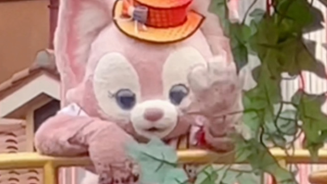 好可爱的小狐狸