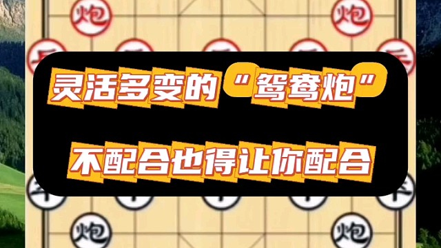 灵活多变的“鸳鸯炮”，不配合也得让你配合