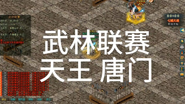 剑侠情缘网络版「剑网1」武林联赛天王 唐门「城北大叔」