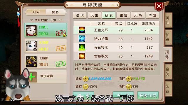 问道手游：装备花一万多