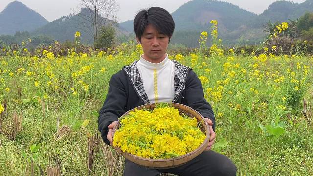春天里的酸菜花，金黄金黄的油菜花是大自然赠予我们最美妙的礼物