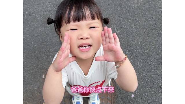 第一次遇到飞这么高的蝴蝶..