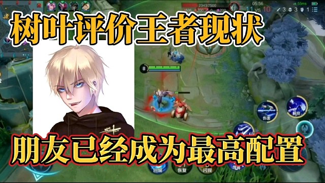 树叶评价王者现状？朋友已经成为最高配置