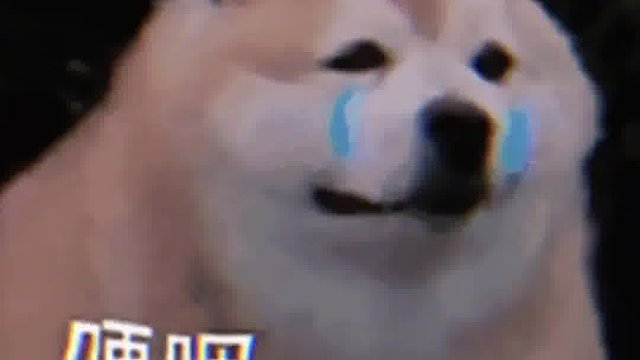 任何职业应该被尊重