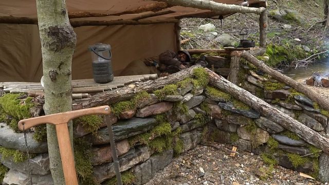 在野外长达三天的奇趣露营，凭着我的一身本领，和狗子过着神仙般的日子