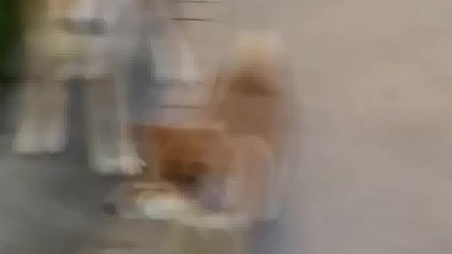 养柴人最怕的一幕