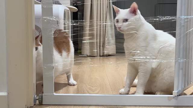 朋友说一秒都不用剪