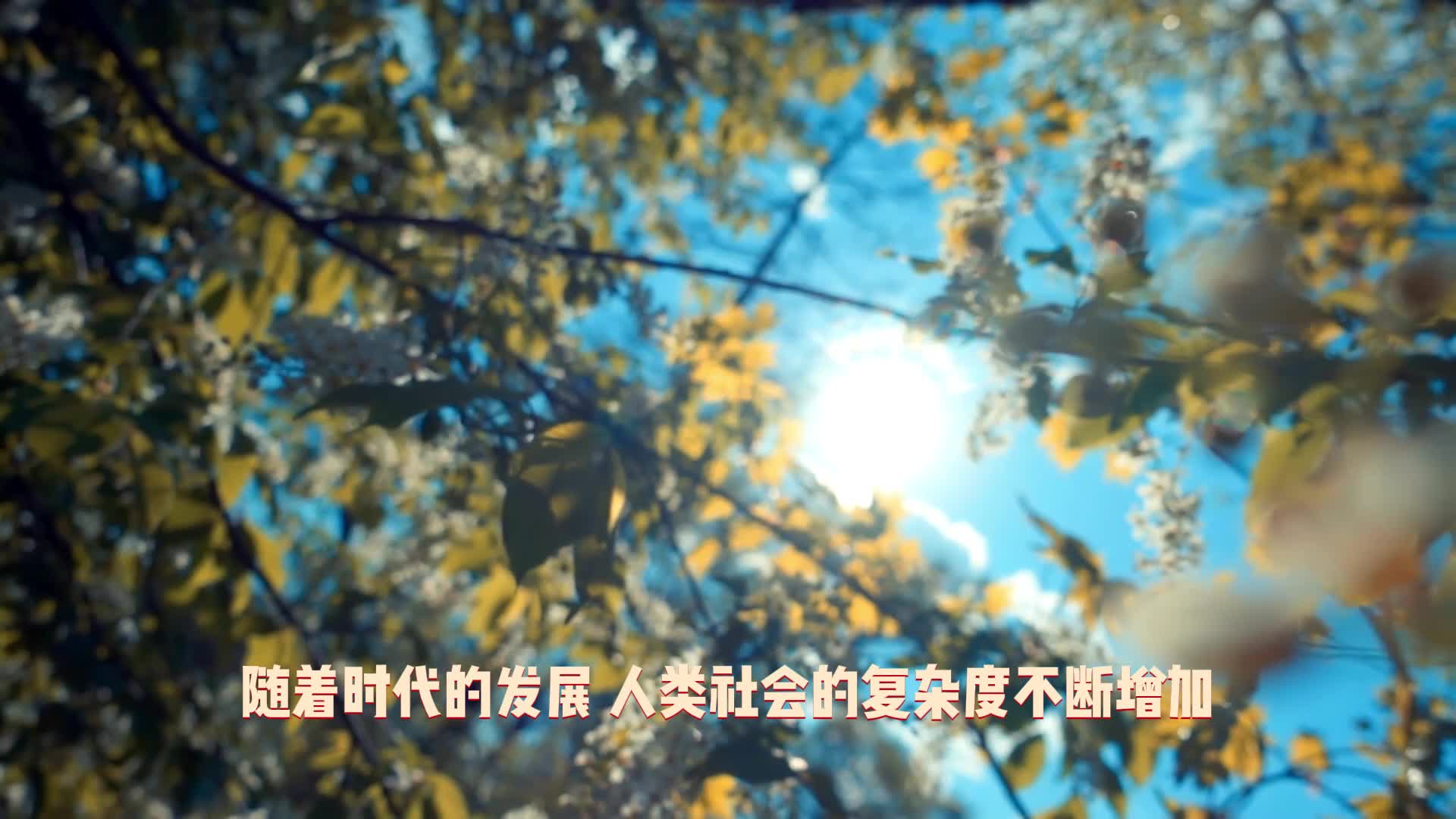 梨花奇门遁甲的决策科学转型