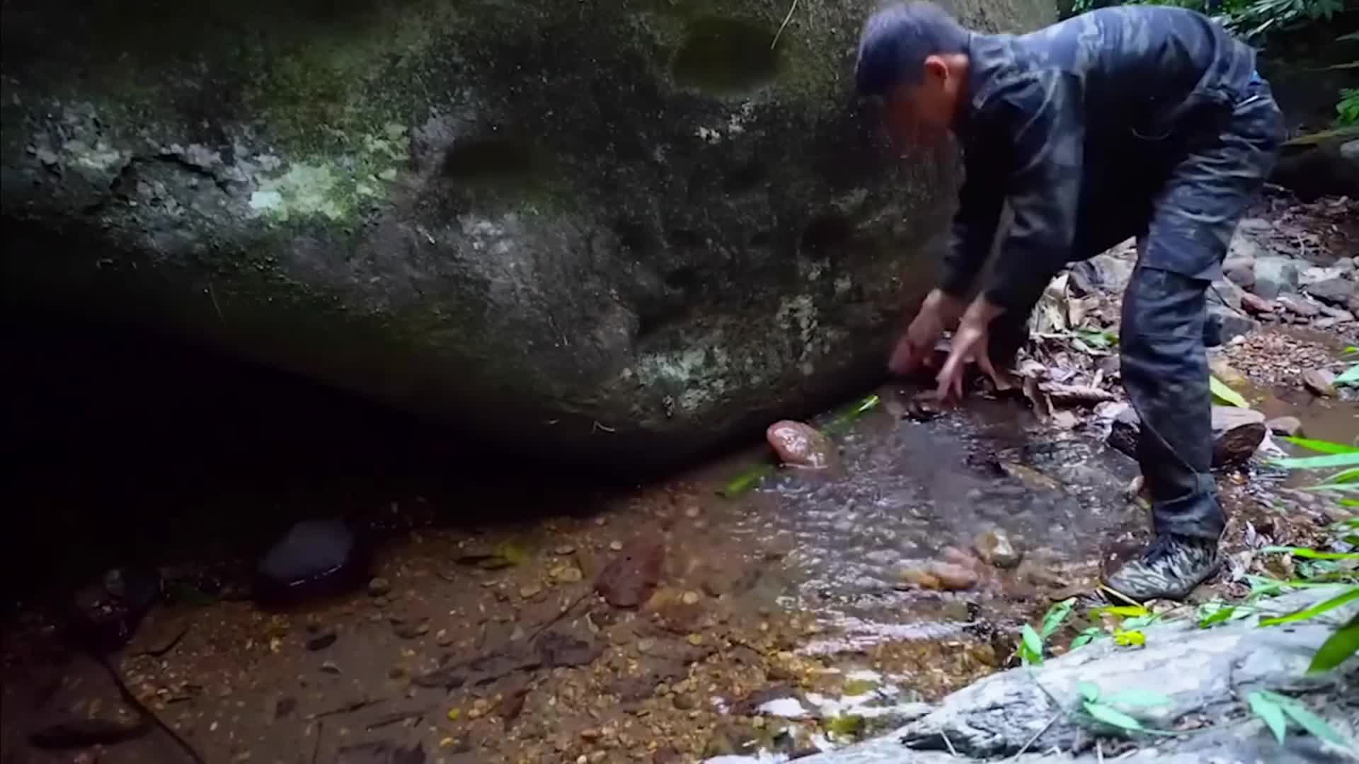 第2集：男人以巨石做别墅屋顶，建起吃喝不愁的荒野之家