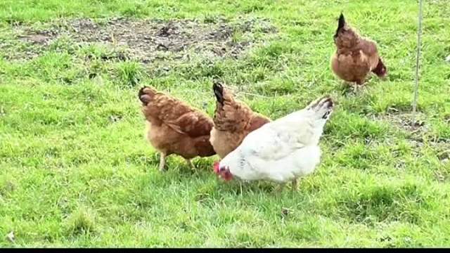 肌营养不良知识科普