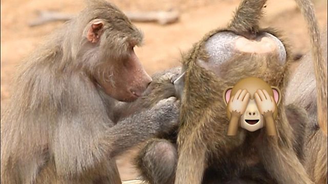 请同事吃“自助餐”有点费脑袋呀