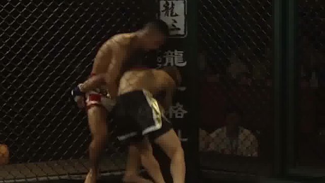 年轻猛兽的笼中对决！