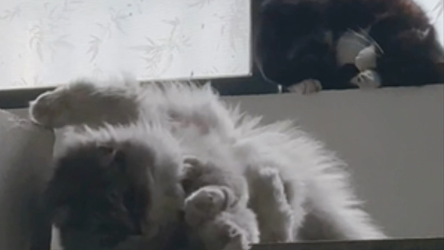 这俩就是长辈好说的，一会好一会打