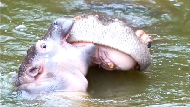 爱你妈妈，么么