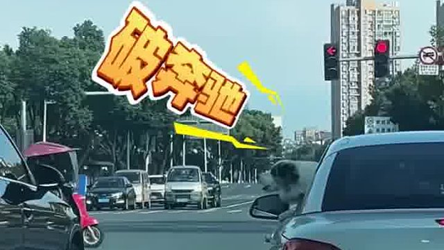 两个狗子在车上吵架