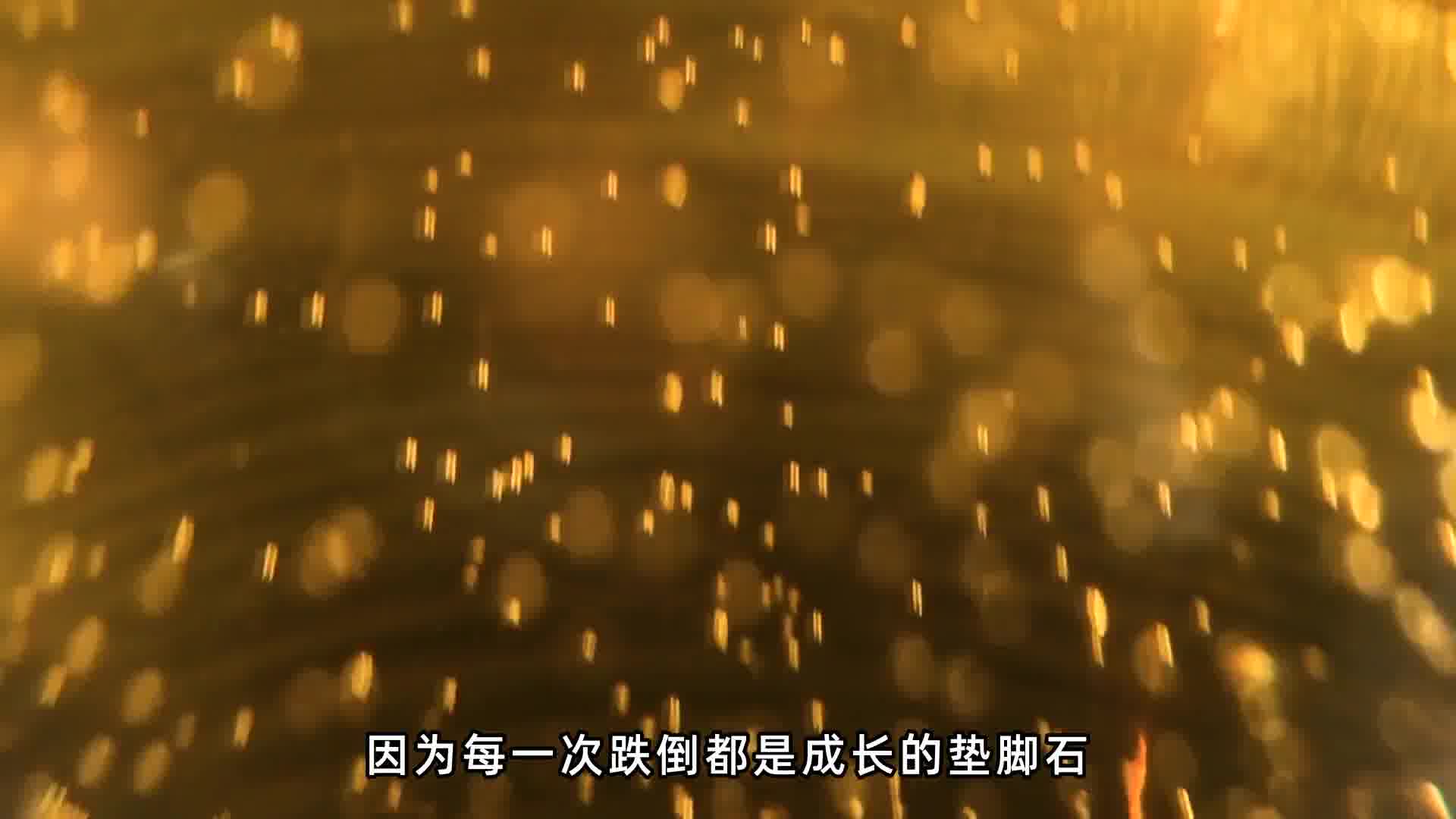 在创业的道路上每一步都充满挑战与机遇勇