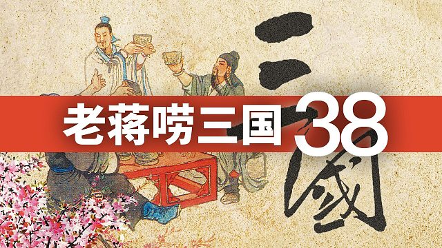 《三国演义》第三十八回· 定三分隆中决策，战长江孙氏报仇丨老蒋唠三国