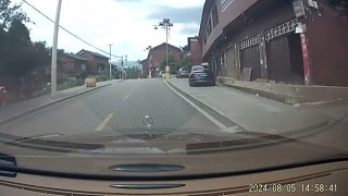 白車全責   轉彎讓直行