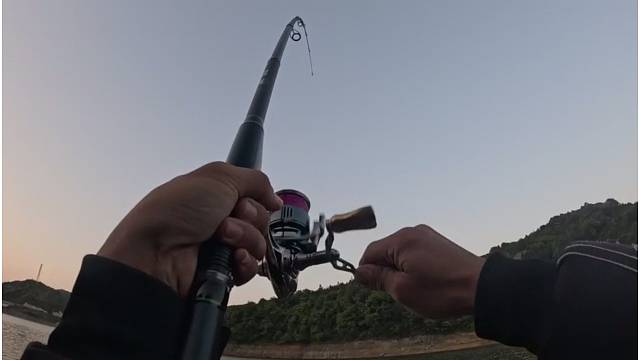 这里有鱼绝对稳了