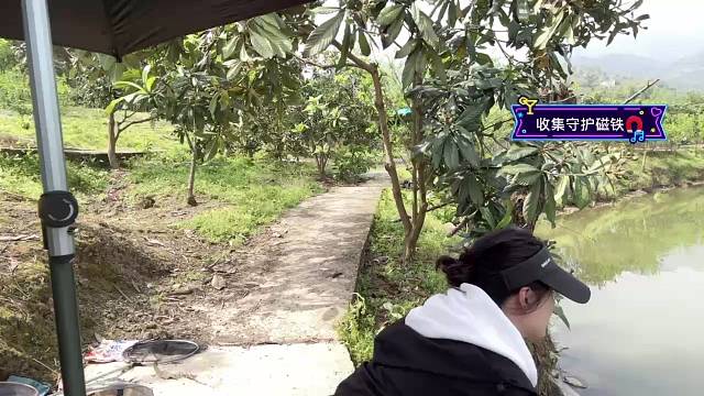 新手小白上鱼啦