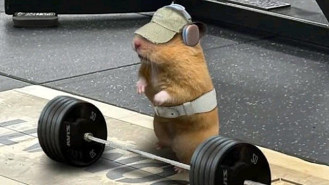 主播新人主播小鱼!