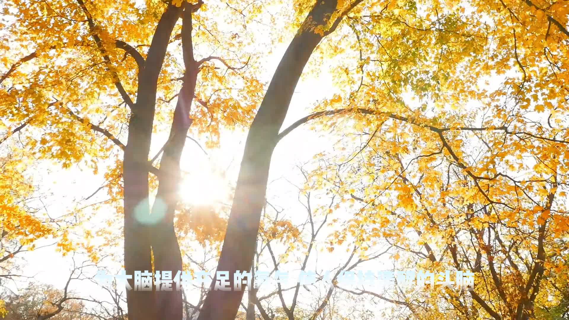 舒涵风水 “明堂开阔” 原则 —— 如何通过办公环境布局提升工作效率