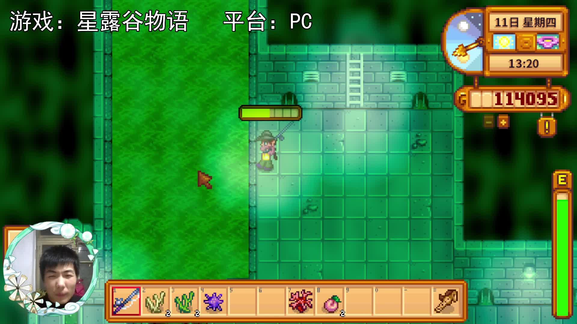 【星露谷物语】下水道，钓出了变种鲤鱼！