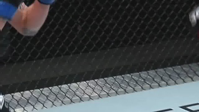 世界综合格斗名场面