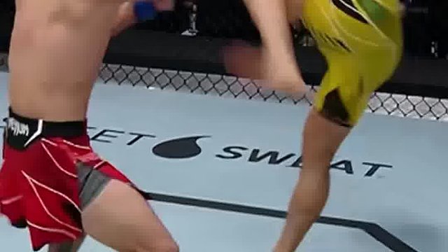 世界综合格斗名场面