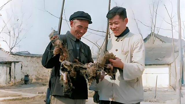 1958年打麻雀运动真实影像，捕杀麻雀近20亿只，几乎被灭绝