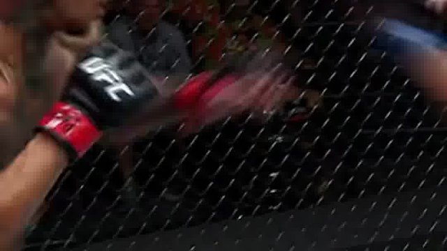 世界综合格斗名场面