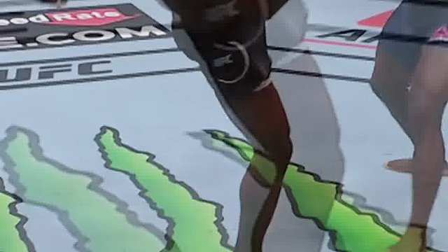 世界综合格斗名场面