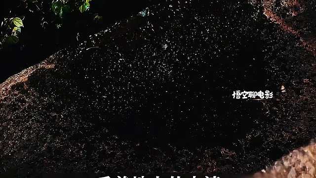 03 白日慈眉善目的好父亲，黑夜却化身心狠手辣的大毒枭