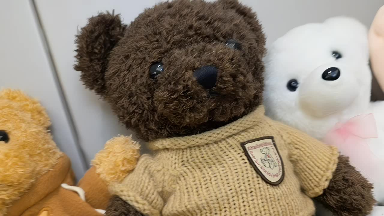 参观一下女嘉宾的房间，有很多可爱的小饰品！