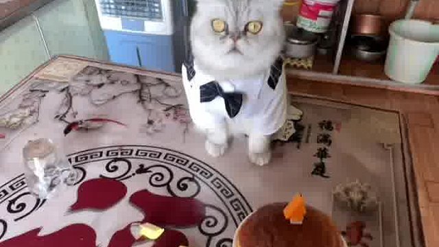 妈耶四岁啦！祝妈耶生日快乐~