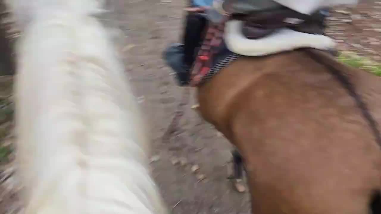 【童锦程】骑马我有啥好怕的，就是怕给兄弟们颠吐了