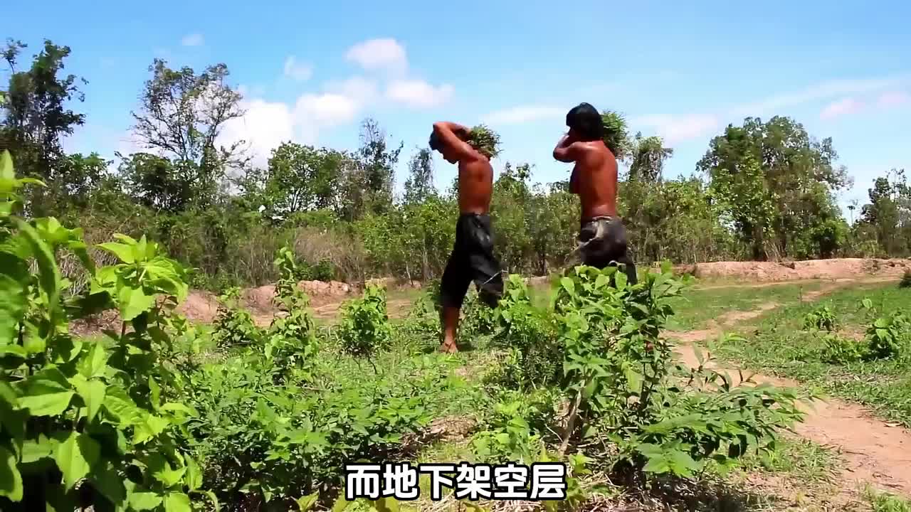 铲子兄弟的迷你水上别墅