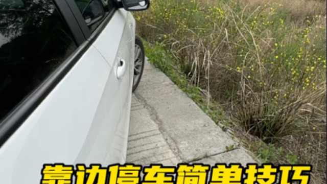需要靠边停车的时候，新手总是停不好，害怕刮蹭 教你两个方法  #每天一个用车知识 #驾驶技巧