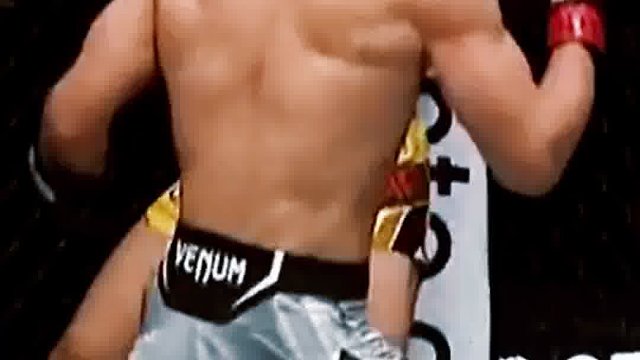 世界综合格斗名场面