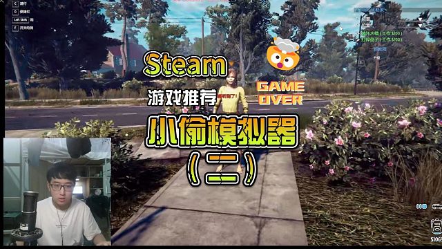 Steam小偷模拟器：你好，我是来查水表的