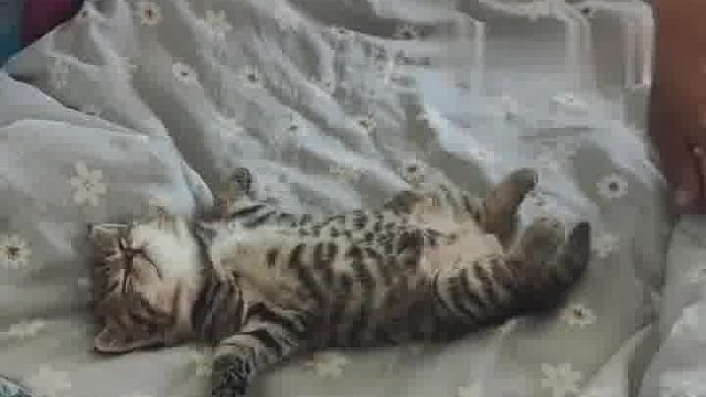 怕孩子上火拍孩子着凉