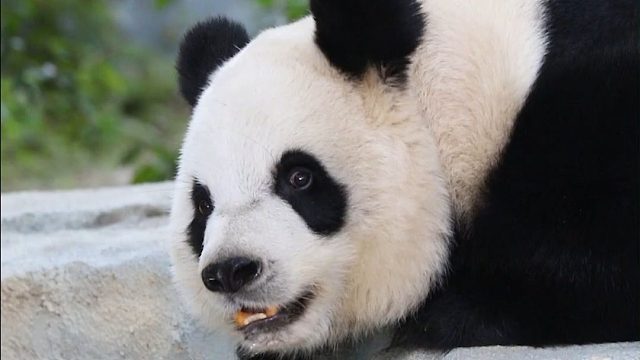 语大王温馨提示：天热记得多“咕噜咕噜”