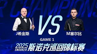 希金斯 VS 塞尔比 2025斯诺克巡回锦标赛 第二阶段 肖国栋解说 下半场