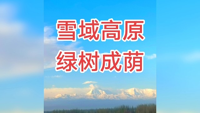 雪山下面绿树成荫